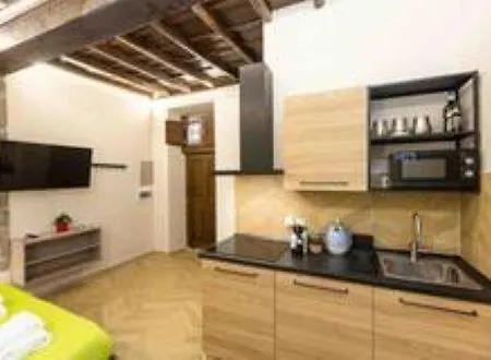 Iron Loft In Colosseo *